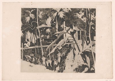 Végétation et un pont étroit à Buitenzorg - Willem Arnoldus Witsen