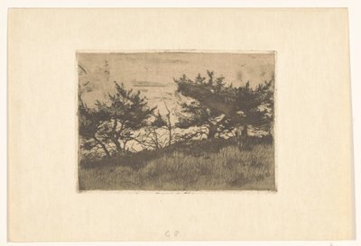 Arbres sur une colline - Willem Arnoldus Witsen