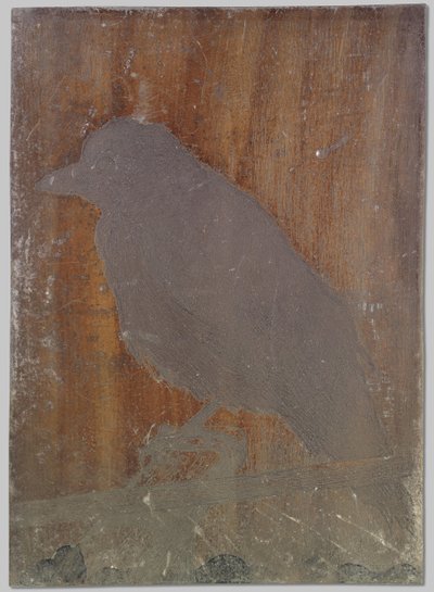 Le corbeau Ina - Willem Arnoldus Witsen