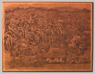 Vue sur les maisons et la végétation à Buitenzorg - Willem Arnoldus Witsen