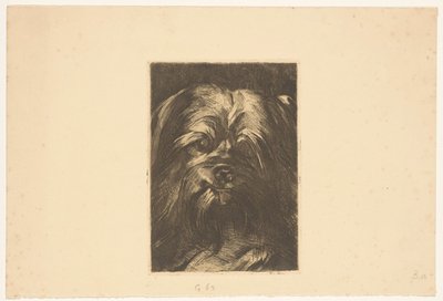 Chien Phoebus - Willem Arnoldus Witsen