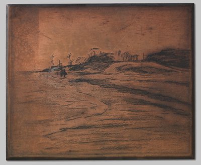 Valkeveen sur le Zuiderzee - Willem Arnoldus Witsen