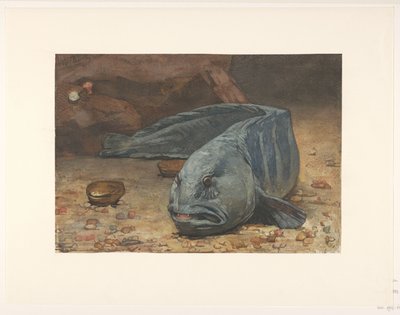 Loup de mer au fond d