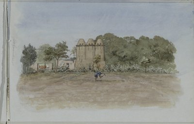 Tours de pigeons près d