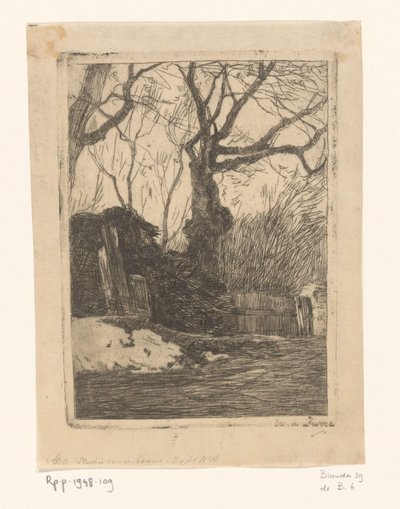 Takkenbos bij een heining met bomen - Willem de Zwart (signed by artist)