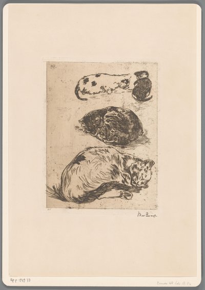 Étude de chats - Willem de Zwart (signed by artist)