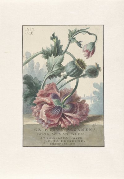 Coquelicots, titre pour: W. van Leen et J.C. & J.A. Coebergh, Ge-etste Bloemen, 1804 - Willem van Leen