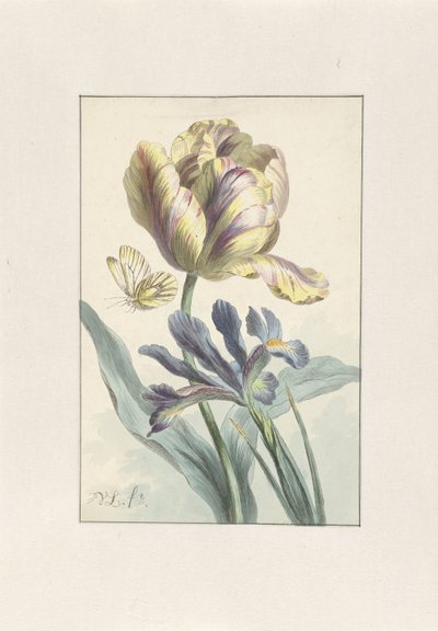 Tulipe et Iris - Willem van Leen