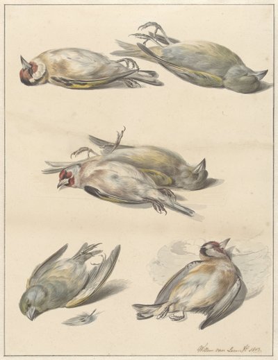 Six petits oiseaux morts - Willem van Leen