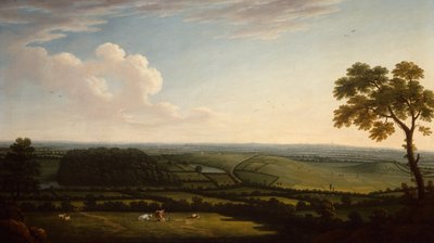 Paysage boisé étendu avec une vue lointaine d