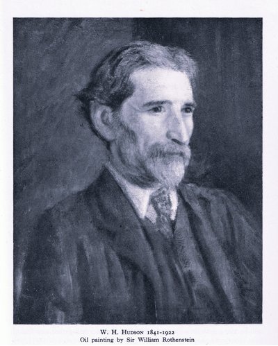 Portrait de W. H. Hudson - William (after) Rothenstein