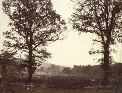 Paysage avec ormes, Ashdown, Grande-Bretagne - William 2nd Earl of Craven