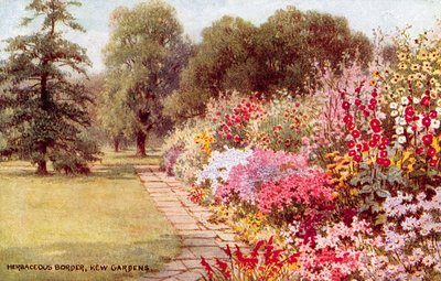 Bordure herbacée, Jardins de Kew - William Affleck Carruthers