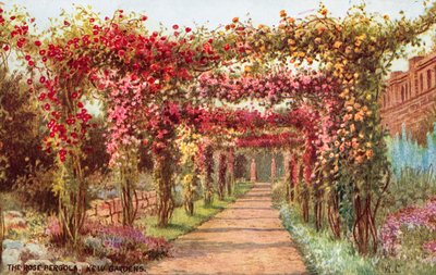 La pergola de roses, Jardins de Kew - William Affleck Carruthers