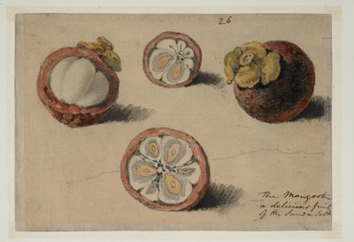 WD 961 f.26 - William Alexander