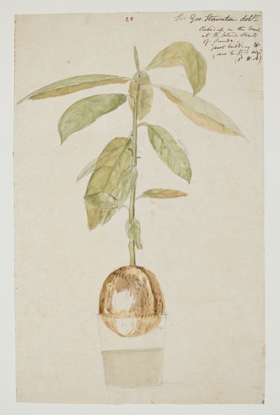 WD 961 f.28 - William Alexander