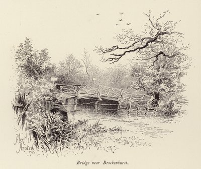 Pont près de Brockenhurst - William Alexander Ansted