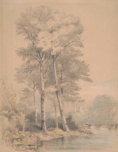 Château de Llandovery, sud du Pays de Galles - William Alfred Delamotte