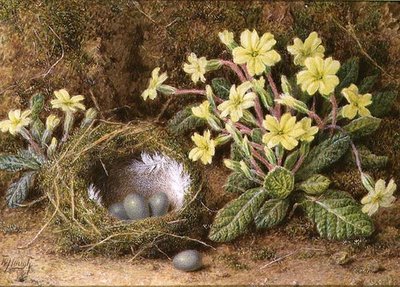 Nature morte d