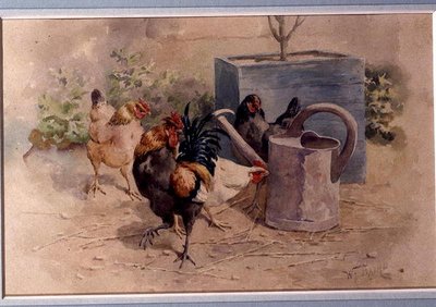 Poules près d