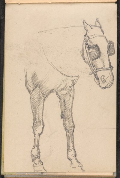 Esquisse de cheval avec œillères - William Barnes Wollen