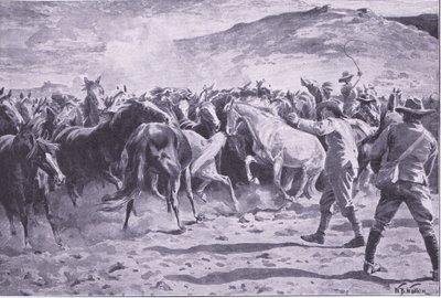 La capture des chevaux dans le district de Brandwater près de Fouriesburg : rassemblement du troupeau, illustration de Après Pretoria : La guerre de guérilla, 1902 - William Barnes Wollen