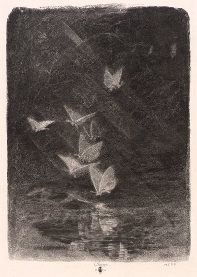 Mites nocturnes - William Baxter Closson