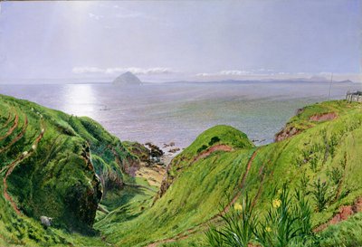 Vue d