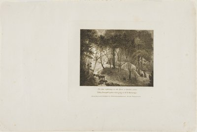 Soleil réfléchissant sur la rosée, une scène de jardin - William Birch
