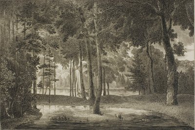 Vue depuis le bosquet élyséen - William Birch