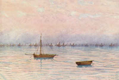 La flotte d