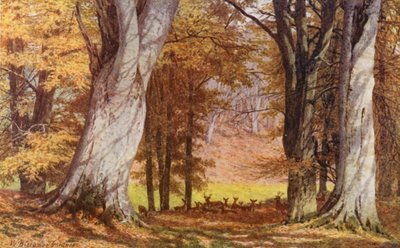 Le chêne de Wilberforce, Holwood Park, Keston - William Biscombe Gardner