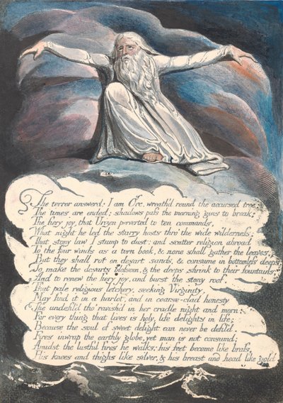 Amérique. Une Prophétie, Planche 10, La Terreur Répondit... - William Blake