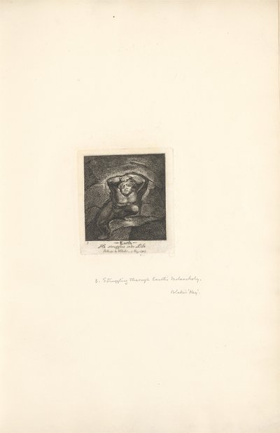 Pour les Sexes - Les Portes du Paradis, Planche 5, Terre - William Blake