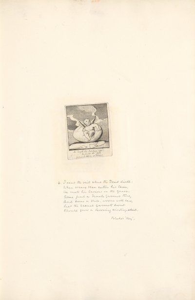 Pour les Sexes - Les Portes du Paradis, Planche 8 - William Blake