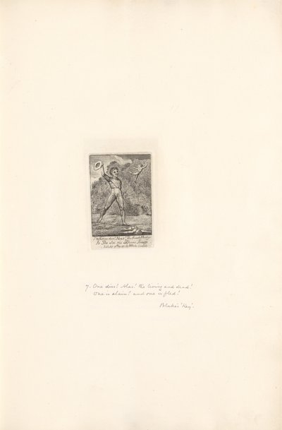 Pour les Sexes - Les Portes du Paradis, Planche 9, Hélas! - William Blake