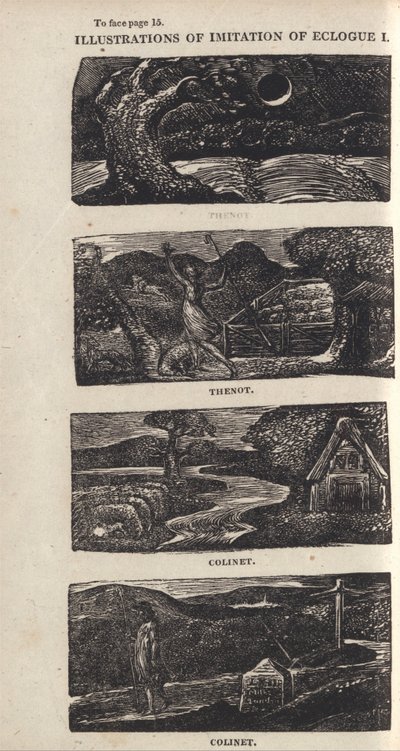 Illustrations de l