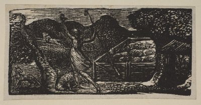 Le Berger chasse un loup, des Pastorales de Virgile de Thornton - William Blake