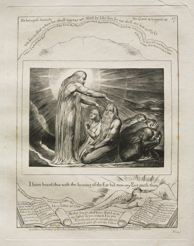 Le Livre de Job : Pl. 17, J