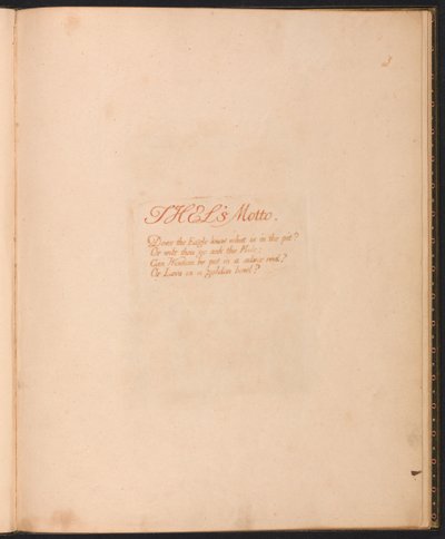 Le Livre de Thel, Planche 1, La Devise de Thel... - William Blake