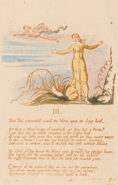 Le Livre de Thel, Planche 6, III. , Alors Thel étonnée... - William Blake
