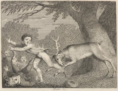 Le cerf apprivoisé - William Blake