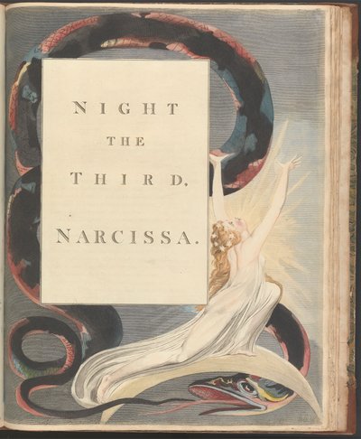 Pensées nocturnes de Young, Page 43, "Nuit la Troisième, Narcissa." - William Blake