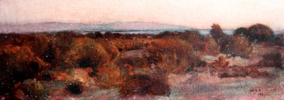 Crépuscule, rivage de Bocca d