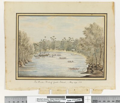 Opp. p. 260. `Port Hunter, île du Duc d