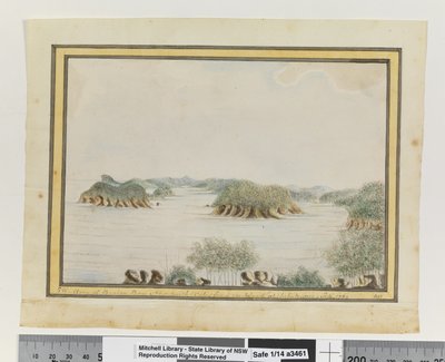 Opp. p. 93. `Bras sud-ouest de Broken Bay, Nouvelle-Galles du Sud depuis une île à l