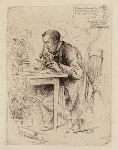 Alexander Dickson, professeur de botanique - William Brassey (after) Hole