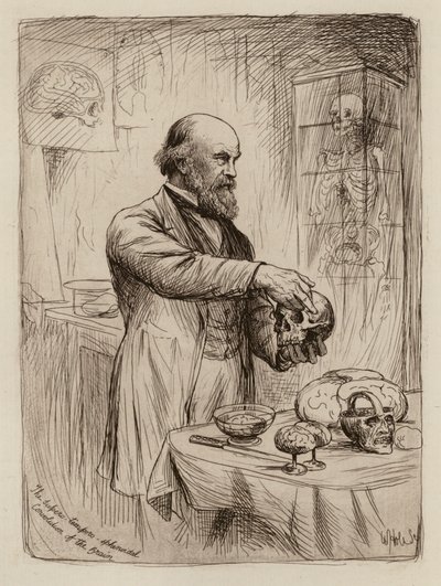 William Turner, professeur d