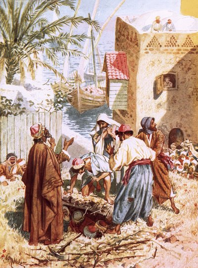 Un homme paralytique descendu par le toit - William Brassey Hole