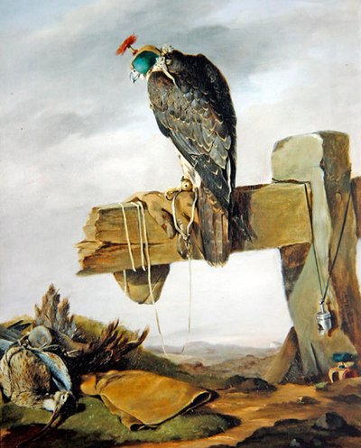 Un faucon pèlerin dans son capuchon avec un courlis au sol - William Brodrick